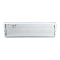 Аварийный светильник FERON 20 LED AC/DC, белый, EM101 41536