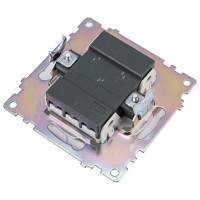 2-клавишный выключатель STEKKER с индикатором механизм, GLS10-7102-01, 10А, Катрин, белый 39301