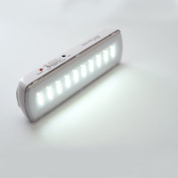 Аварийный светильник FERON 30 LED AC/DC, белый, EM110 41532