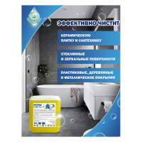 Универсальное моющее пенное средство с воском для очищения поверхностей, Рапид 09-N 5 л 4607002303977