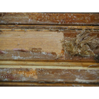 Удалитель краски APS-M66 смывка бутылка 550 г 000000223