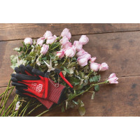 Садовые ножницы FELCO F321