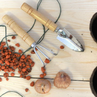 Набор инструментов для комнатных растений МУЛЬТИДОМ 3 предмета J83-29