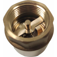 Обратный клапан WWSYSTEM пружинный муфтовый, 1" с металлическим затвором К0100ВН