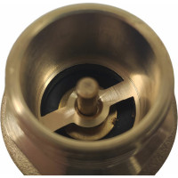 Обратный клапан WWSYSTEM пружинный муфтовый, 1" с металлическим затвором К0100ВН