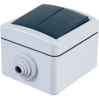 Двухклавишный выключатель Aling-conel ARMOR IP55 10AX 250В открытой установки, серый 282.1A 117013