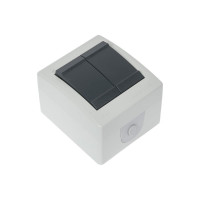 Двухклавишный выключатель Aling-conel POWER IP44 10AX 250В открытой установки, серый 252.1A 117025
