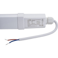 Светодиодный линейный узкий светильник IONICH IDSP-S-18-4000-600-УХЛ2-IP65 2017