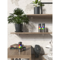 Краска аэрозольная CORALINO RAL7016 антрацитово-серый 0.52 л C17016