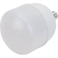 Светодиодная лампа Ergolux LED-HW-50W-E40-6K серия PRO 50Вт E27/E40 6500К 150-260В 14329