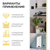 Двухклавишный беспроводной выключатель FERON TM82 SMART, 230V, 500W, черный 41723