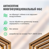 Антисептик PROSEPT многофункциональный ФБС ГОСТ 10 л 068-10