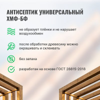 Универсальный антисептик PROSEPT ХМФ-БФ ГОСТ 10 л 066-10