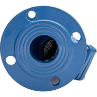 Сетчатый фильтр Ci (осадочный) фланцевый Ду50 Ру16 чугунный D260-00226