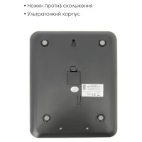 Кухонные электронные весы Atlanta ATH-6196 silver