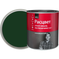 Грунт-эмаль по ржавчине Расцвет алкидная, темно-зеленая, 2.7 кг 72963