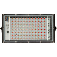 Светодиодный фитопрожектор для растений ЭРА FITO-80W-RB-LED-Y красно-синего спектра, Б0053082