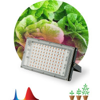 Светодиодный фитопрожектор для растений ЭРА FITO-80W-RB-LED-Y красно-синего спектра, Б0053082