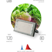 Светодиодный фитопрожектор для растений ЭРА FITO-80W-RB-LED-Y красно-синего спектра, Б0053082