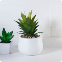 Аэрозольный лак в баллончике Elcon для металла, дерева, пластикабыстросохнущий, водостойкий, износостойкий, бесцветный, матовый аэрозоль 520 мл 00-00462309