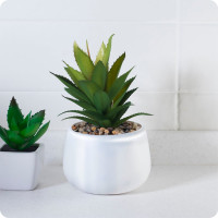 Аэрозольный лак в баллончике для металла, дерева, пластика Elcon быстросохнущий, водостойкий, износостойкий, бесцветный, глянцевый, аэрозоль, 520 мл 00-00462310