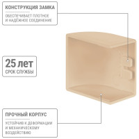 Заглушка кабельной трассы TDM ELECTRIC КМЗ, сосна, 25х16 упаковка 4 шт SQ0411-0233