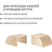 Заглушка кабельной трассы TDM ELECTRIC КМЗ 60х40 сосна (4 шт./комплект) SQ0411-0236