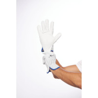 Перчатки кожаные Delta Plus FСN29 серого цвета, размер 10 FCN2910