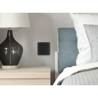 Выключатель Legrand одноклавишный Legrand Inspiria 10А 250В безвинтовые зажимы антрацит 673603