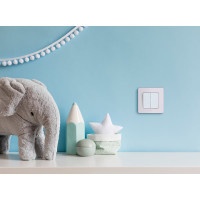Двухклавишный выключатель Legrand - INSPIRIA - 10 AX - 250 В - белый 673620