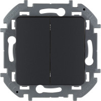 Двухклавишный выключатель Legrand - INSPIRIA - 10 AX - 250 В - антрацит 673623