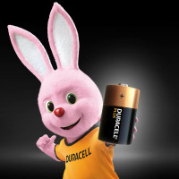Щелочные батарейки Duracell Plus D 1,5v 2 LR20 MN1300, Б0056039