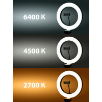 Кольцевая светодиодная лампа TDM ELECTRIC 26 см, 12 Вт, 2700-6400 К, штатив настольный, диммер, USB, SQ0373-0302