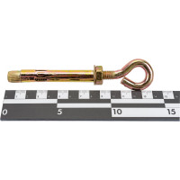 Анкерный болт с кольцом МЕТАЛЛСЕРВИС М12x100 20 шт. 1230486