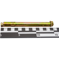 Анкерный болт с гайкой МЕТАЛЛСЕРВИС М14x150 20 шт. 1230401