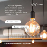 Умное реле на дин рейку Ujin Connect-din/2 канала/16А/wi-fi /голосовое управление Алисой, Салютом UCD-W-2С16+16A-2D