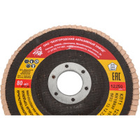 Круг лепестковый БАЗ торцевой (125x22 мм; Р120 (№10)) РемоКолор 45-5-529