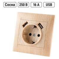Розетка TDM ELECTRIC 2П+З 16А 250В + 2 USB порта 2,1А 5В сосна Лама SQ1815-0342