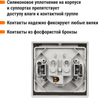 Розетка TDM ELECTRIC 2П+З скрытой установки IP54 16А серая Вуокса SQ1803-0108