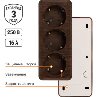 Горизонтальная 3-х местная розетка TDM ELECTRIC 2П+3 открытой установки IP20 16A с з/ш бук Ладога SQ1801-0327