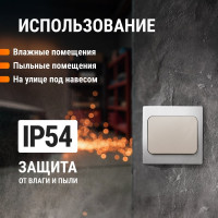Выключатель одноклавишный скрытой установки серый TDM ELECTRIC IP54 10А серия "Вуокса" SQ1803-0101