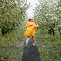 Резиновая садовая дорожка Alegria Top garden 2500x400x5 мм 2500.400.5.TG