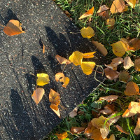 Резиновая садовая дорожка Alegria Top garden 2500x400x5 мм 2500.400.5.TG