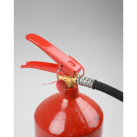 Огнетушитель ООО Торговый дом РИФ  ОУ-5 ВСЕ