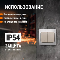 Переключатель двухклавишный на 2 направления скрытой установки, серый TDM ELECTRIC IP54 10А серия "Вуокса" SQ1803-0104