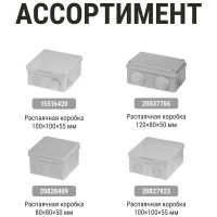 Коробка распределительная TDM ELECTRIC 100х100х50мм, крышка на винтах, IP55, 6 входов SQ1401-1234
