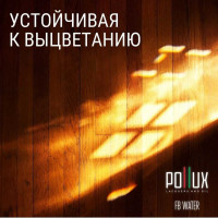 Краска для дерева Pollux FB Water 200 Сан-Блас (цвет коричневый; объем 1 л) 4687202235230