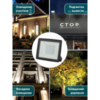 Прожектор светодиодный уличный ЭРА LPR-023-0-30K-050 50Вт 3000K IP65 Б0052859