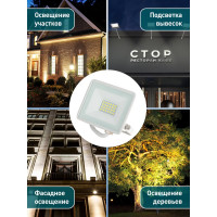 Прожектор светодиодный уличный ЭРА LPR-023-W-65K-030 30Вт 6500K IP65 белый Б0054641