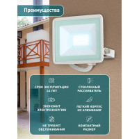 Прожектор светодиодный уличный ЭРА LPR-023-W-65K-030 30Вт 6500K IP65 белый Б0054641